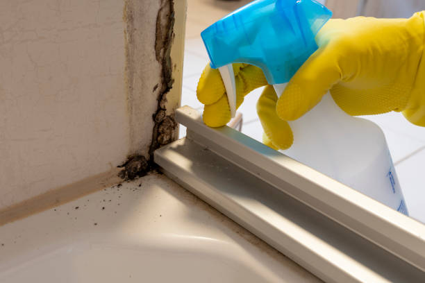 Best Mold Cleaning Services  in Nikiski, AK