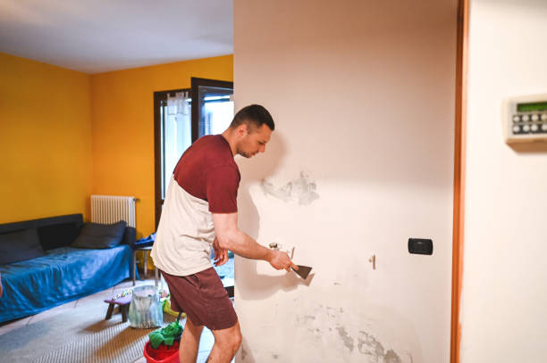 Home Mold Removal in Nikiski, AK